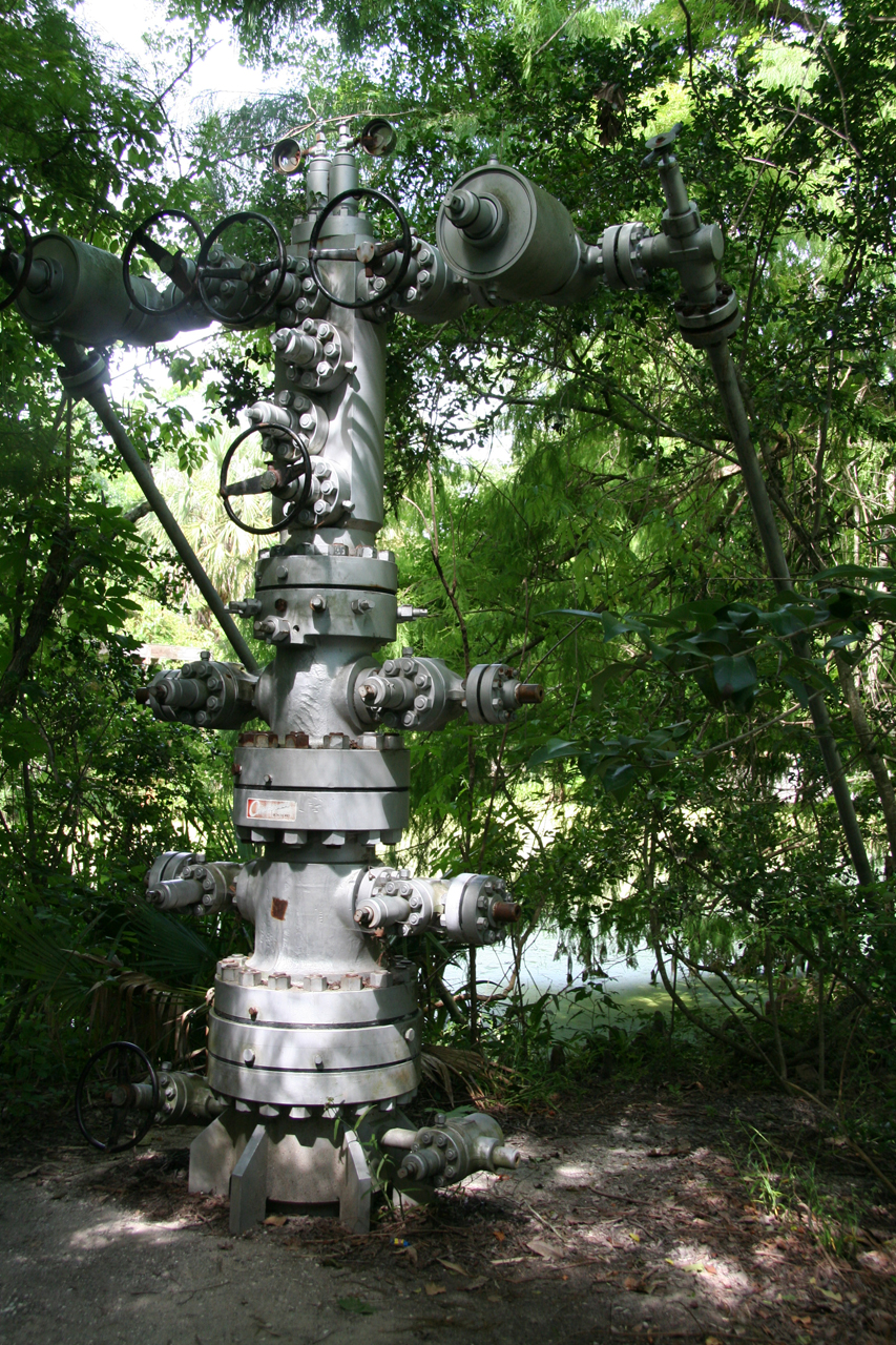 Historischer Ventilkopf zur Ölförderung im Sumpf / Historic wellhead for swamp oil production